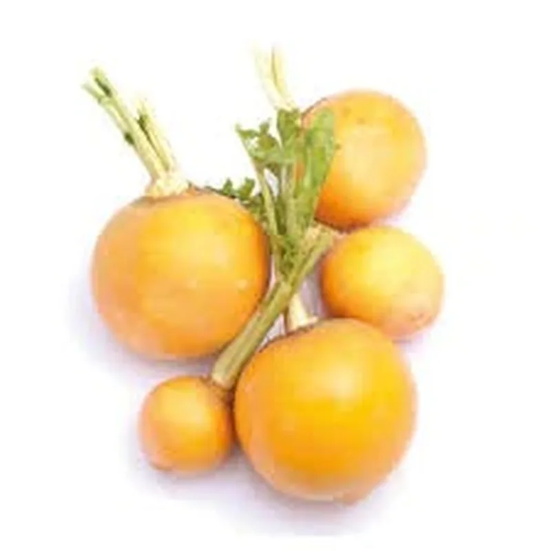 Navet jaune