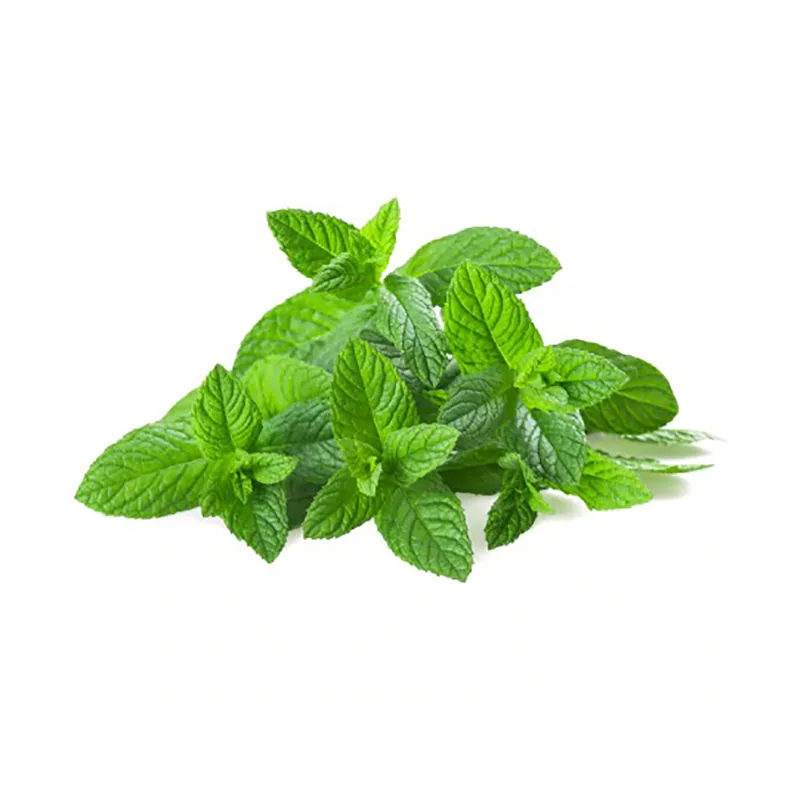 La menthe