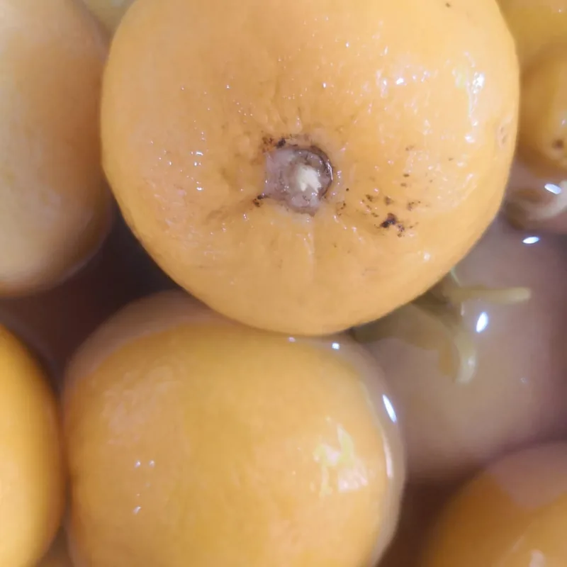 Citron Confit