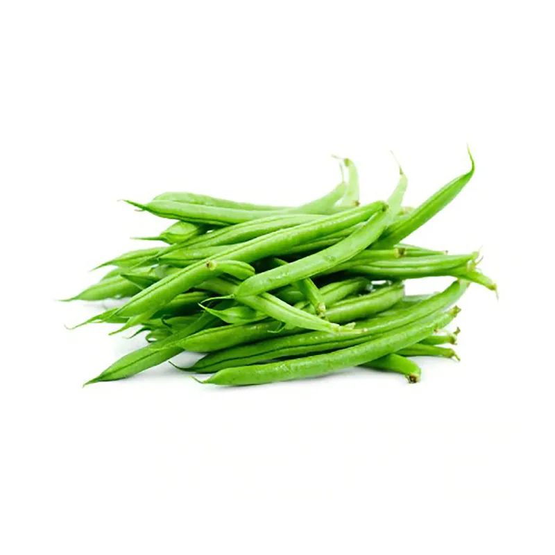 Haricot vert