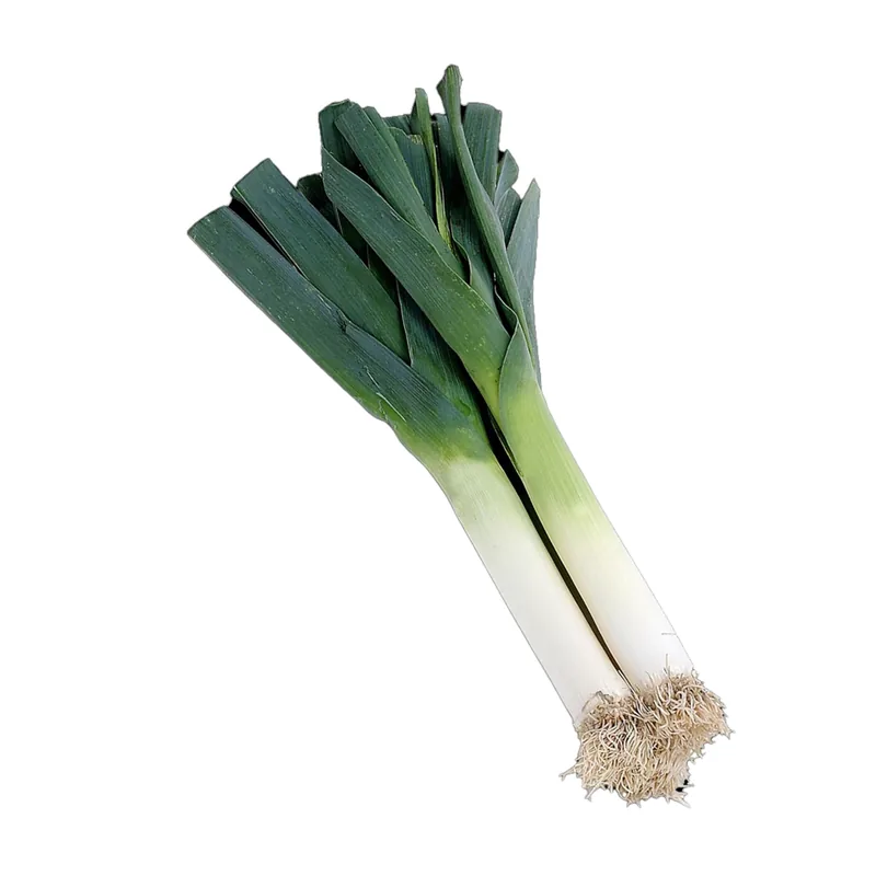 Poireau